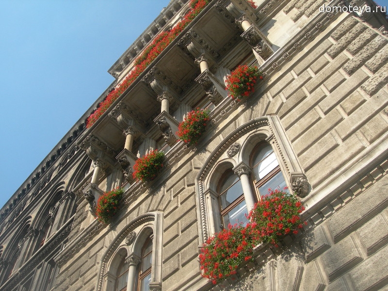 Городская ратуша Вены - Ратхаус