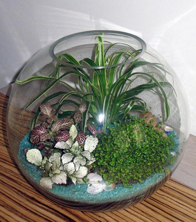 Цветы в аквариуме - идеи декора